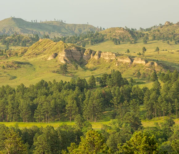 Distant view of trees and buttes