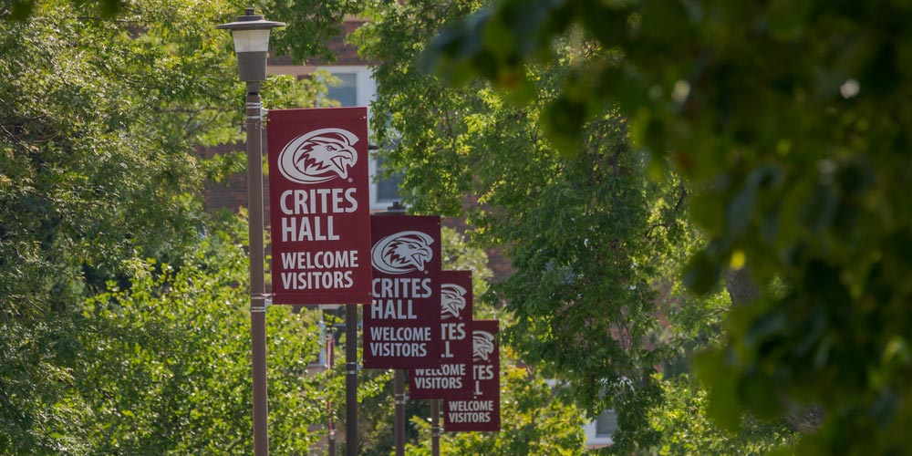 Flags on campus