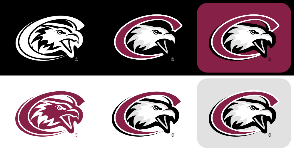 Six examples of the CSC logo against dark and light backgrounds
