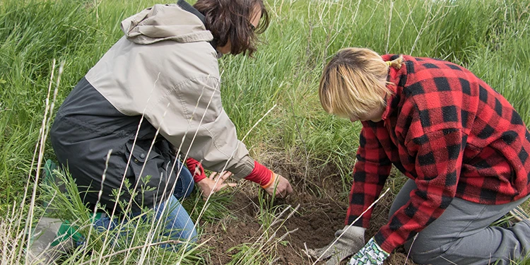 Students working in the field during a class, they are in tall grass digging