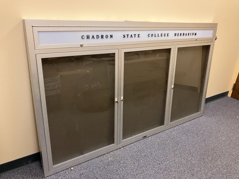 Locking Wall Display Case