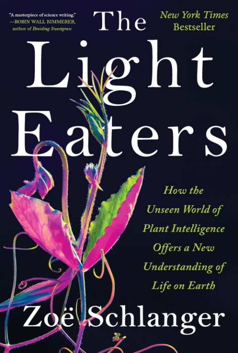 How the unseen world of plant intelligence offers a new understanding of Earth
