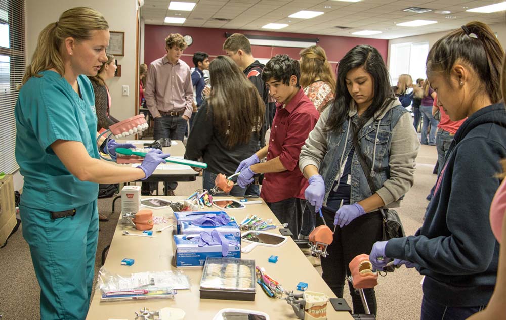 Students looking a medical display