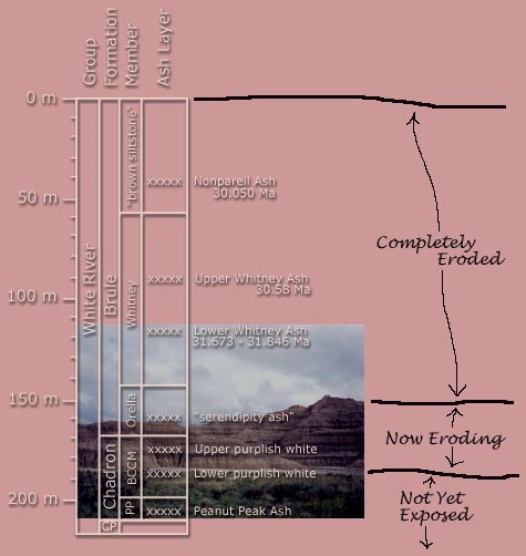 Stratigraphy