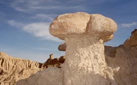 Toadstool Park