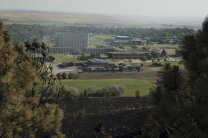 Some of the trees in the burned area still contain green needles, which makes officials optimistic for the forest's revival.