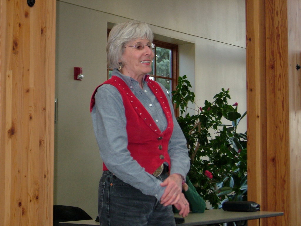 Lyn Messersmith speaks during her presentation Monday.