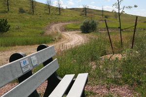 Benches n the south of campus