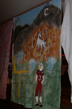 MTNA's winning bed sheet