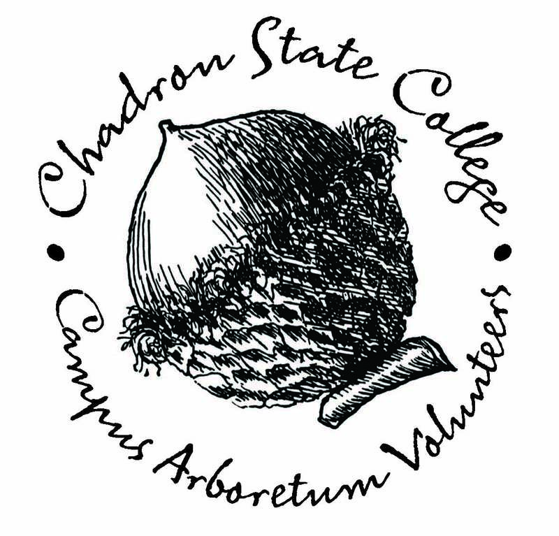 Campus Arborteum graphic