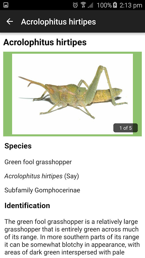 A screenshot of the grasshopper app.