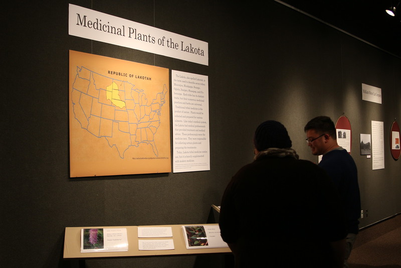Students look at exhibits on display in Memorial Hall's Main Gallery.