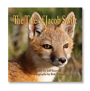 Fox book cover