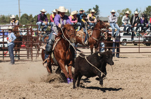Elsie Fortune ropes a calf