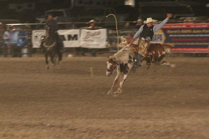 Colin Dibbern rides saddle broncs