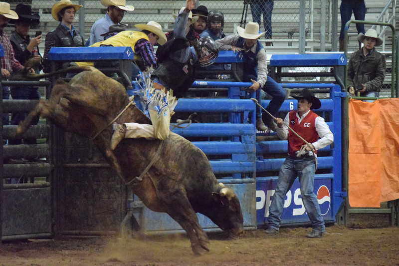 Miles Englebert holds tight to his second ride Friday night. (Photo by Erika Geary)