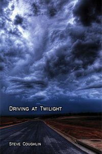 Driving in Twilight book cover