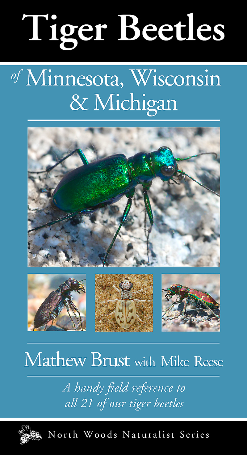 A tiger beetle field guide co-written by Dr. Mathew Brust contains distribution maps, habitat photos, descriptions, similar species and seasons when tiger beetles are most active.