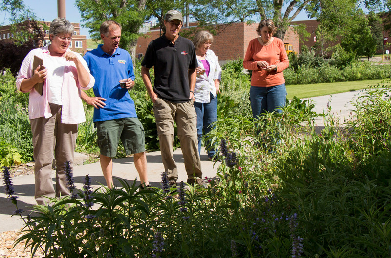 A group tours native plantings east of the Mari Sandoz High Plains Heritage Center on the Chadron State College campus June 28, 2014.