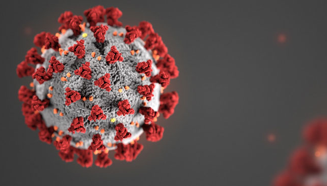 COVID Molecule