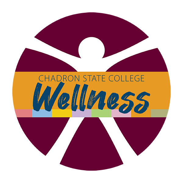 Logo with outline of human figure overlaid with the word Wellness