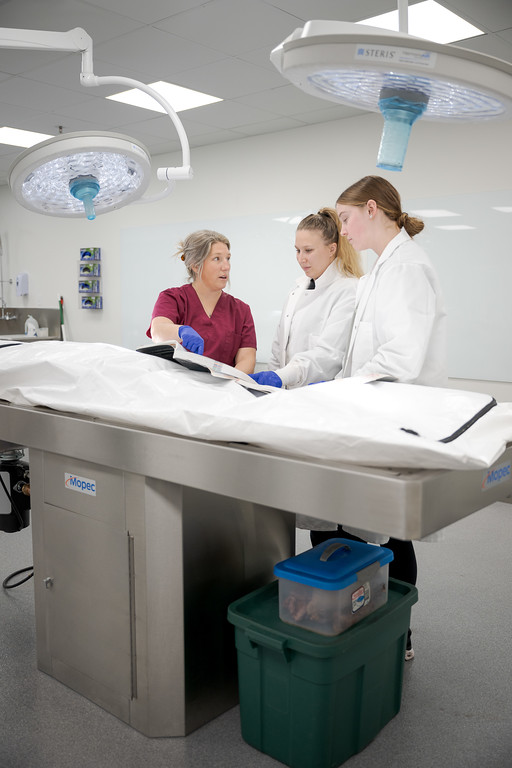 Professor and two students in a human biology lab
