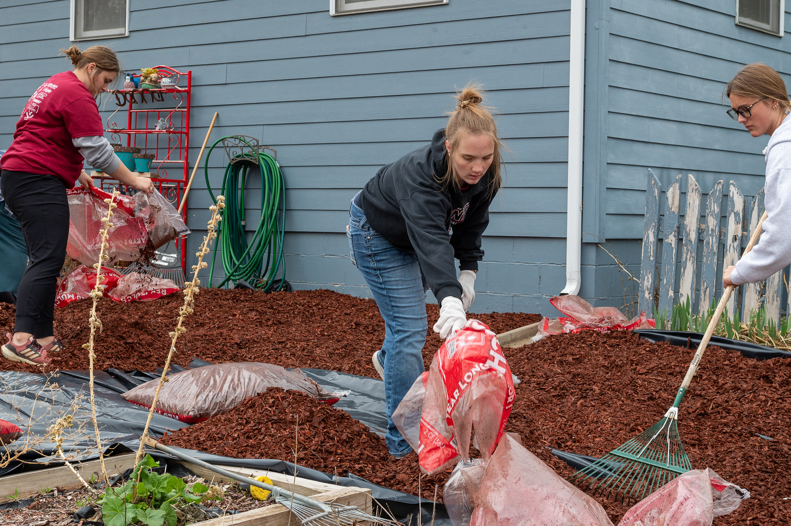 Students pouring mulch on a yard
