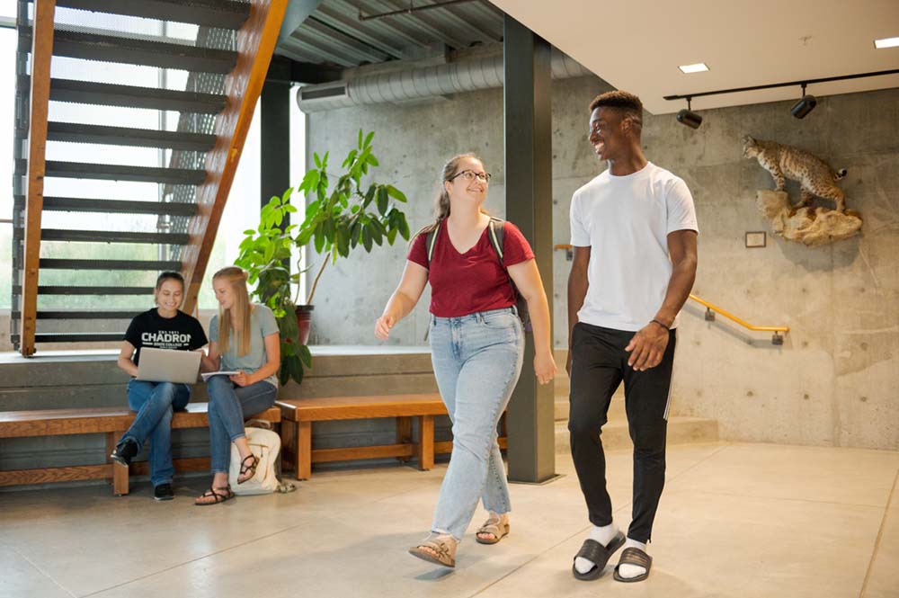 Students walking