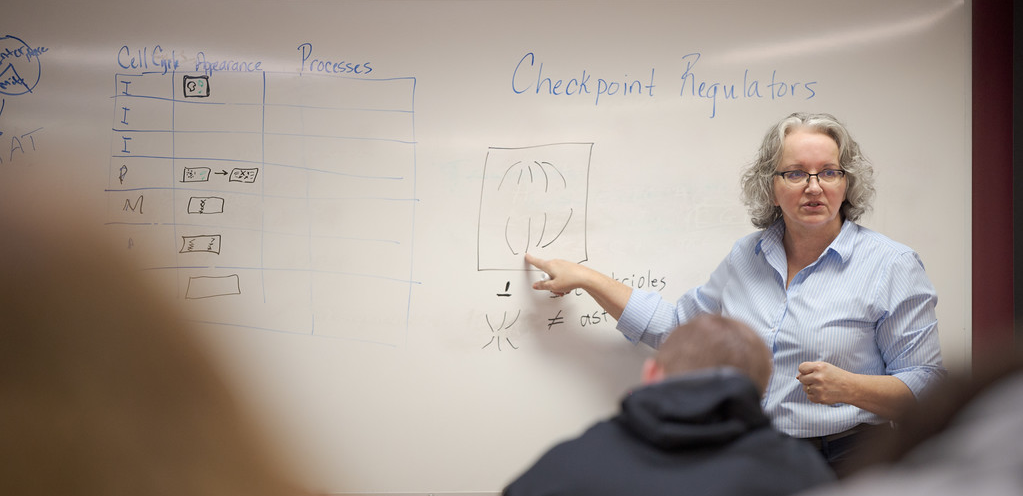 Dr. Hardy teaching students while pointing to a diagram on the whitebaord.
