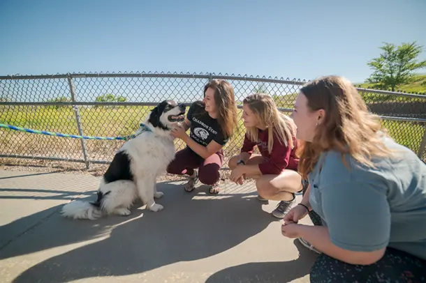 Three students play with a dog